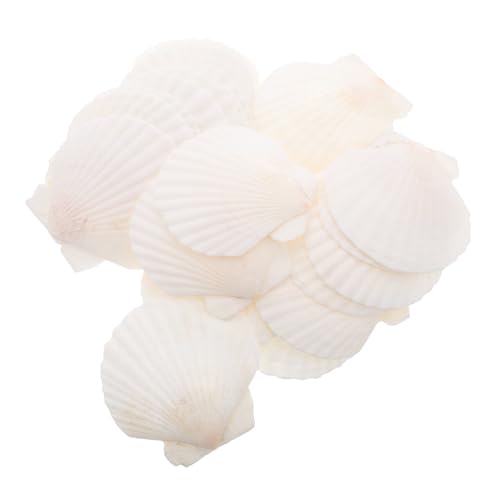 BIUDECO 21 Stück DIY Muschelschalen Set für Kreative Bastelprojekte Dekorationen Strandhochzeiten Foto und von BIUDECO