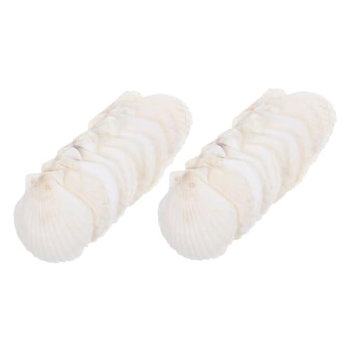 BIUDECO 35 Stück Shell Decoration Set Natürliche Muscheldekore Aquarium Muscheln Dekoration Muschelverzierungen Wohnkultur Muscheln Küstenwanddekoration Strandparty-Dekoration Weiß Hülse von BIUDECO