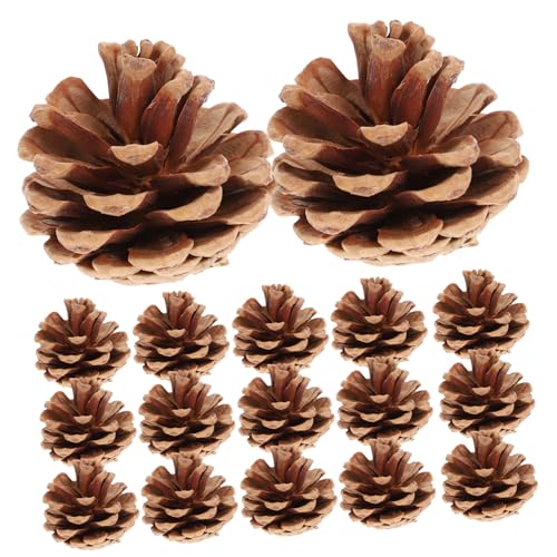 BIUDECO 48 Stück Teiliges Natürliche Getrocknete Zapfen Weihnachtsanhänger Braun Vielseitiger Baumschmuck und Weihnachtsdeko für Kränze Bastelprojekte Festliche Dekoration von BIUDECO