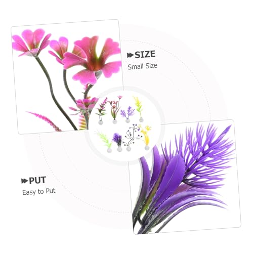 BIUDECO 8 Stück Miniatur Aquarienpflanzen für Fischbecken Pflegeleichte Dekorationen für Haushalt und Büro Langlebige und Farbechte Pflanzen für Mikro Landschaften BIUDECO 8 Stück Miniatur Aquarienpflanzen für Fischbecken Pflegeleichte Dekorationen für Haushalt und Büro Langlebige und Farbechte Pflanzen für Mikro Landschaften von BIUDECO