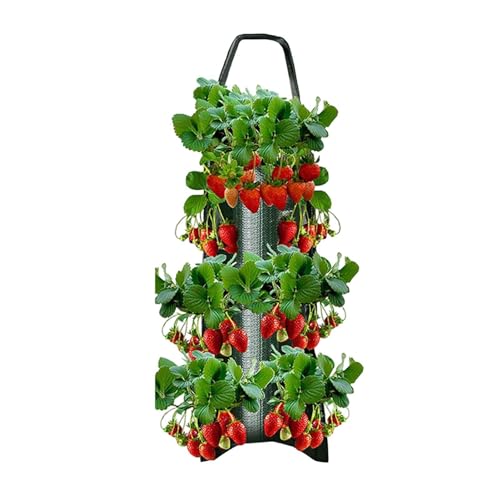Pflanztaschen Erdbeeren Pflanzsack Hängend Vertikal Garten 8 Taschen Gemüse Pflanzen Tasche Atmungsaktiv Aus Vliesstoff Wiederverwendbar Pflanzbeutel Für Erdbeere,Kräuter,Gemüse, Blumen von BIUDUI