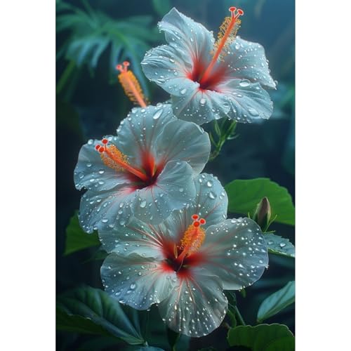 Hibiskus Pflanze Set XXL - Pflegeleichte Riesenblüten, Winterhart bis -15°C - Balkon/Garten Paradies|Schnellwachsend für Sichtschutz-3 zwiebeln-J von BIUPOW