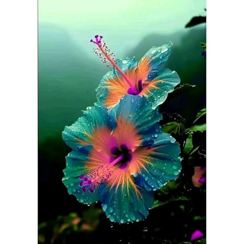 Hibiskus Pflanze Set XXL - Pflegeleichte Riesenblüten, Winterhart bis -15°C - Balkon/Garten Paradies|Schnellwachsend für Sichtschutz-5 zwiebeln-F von BIUPOW