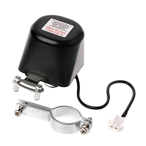 BIlinli DN20 Automatisches Manipulator-Absperrventil für Alarm-Abschaltgas-Wasserleitung von BIlinli