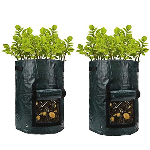 BJ-SHOP Pflanzen Tasche, Garten Gemüse Pflanzer Taschen Imprägniern Sie die Kartoffel-Pflanzungs-Taschen-dauerhafte haltbare Bearbeitungstaschen für Das Garten-Oder Balkon-Gemüsepflanzen von BJ-SHOP