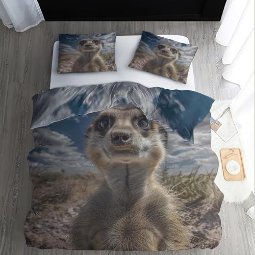 BJCJGGL Bettwäsche 200x220 Mungo Bettwäsche-Set mit Reißverschluss Schließung und 2 Kopfkissenbezug 80x80 cm - Weiche Angenehme Mikrofaser Bettbezug für Erwachsene Kinder BJCJGGL Bettwäsche 200x220 Mungo Bettwäsche-Set mit Reißverschluss Schließung und 2 Kopfkissenbezug 80x80 cm - Weiche Angenehme Mikrofaser Bettbezug für Erwachsene Kinder von BJCJGGL