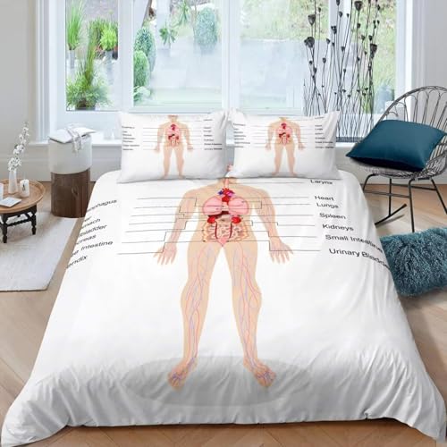 BJCJGGL Bettwäsche 220x240 WeißE Menschliche Anatomie Bettwäsche-Set mit Reißverschluss Schließung + 2 Kopfkissenbezug 80x80 cm - Weicher Atmungsaktive Mikrofaser Bettbezug für Erwachsene Kinder BJCJGGL Bettwäsche 220x240 WeißE Menschliche Anatomie Bettwäsche-Set mit Reißverschluss Schließung + 2 Kopfkissenbezug 80x80 cm - Weicher Atmungsaktive Mikrofaser Bettbezug für Erwachsene Kinder von BJCJGGL