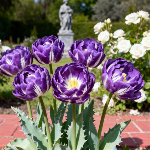 Gefüllte/Bunte Tulpen/Seltene Tulpen/Balkondekoration/Winterhart/Geschenke-8 PCS-H von BJYaWFR