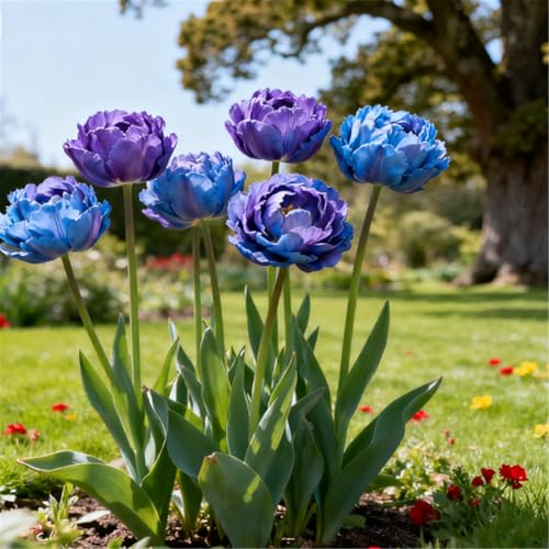 Mehrjährig/bunte Tulpe/seltene Tulpe/Balkondekoration/winterhart/Geschenk-8 PCS-E von BJYaWFR