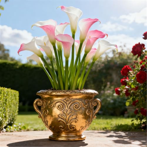 Seltene Calla/Calla/Zierpflanze, mehrjährig, kälteerntefähig/Hochzeitspflanze/Zimmerpflanze/Gartenpflanze/Dekoration-6 PCS-E Seltene Calla/Calla/Zierpflanze, mehrjährig, kälteerntefähig/Hochzeitspflanze/Zimmerpflanze/Gartenpflanze/Dekoration-6 PCS-E von BJYaWFR