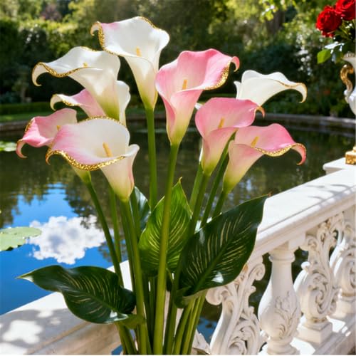 Seltene Calla/Calla-Knolle/Zierpflanze für kalte Temperaturen/Hochzeit/Zimmerpflanze/Garten/Dekoration-6 PCS-H Seltene Calla/Calla-Knolle/Zierpflanze für kalte Temperaturen/Hochzeit/Zimmerpflanze/Garten/Dekoration-6 PCS-H von BJYaWFR