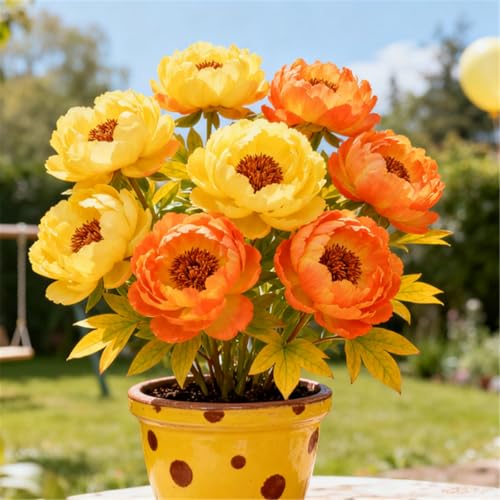 Wunderschöne/Mehrjährige/Winterharte Pfingstrosenknollen/Seltene Pfingstrosen/Gartendekoration/Jetzt bepflanzen/Schnittblume-2 PCS-A von BJYaWFR