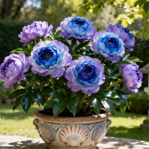 Wunderschöne und edle/Winterharte Pfingstrosen/Seltene Pfingstrosen-Rhizome/Gartendekoration/Winterhart/Gartenarbeit-3 PCS-C von BJYaWFR