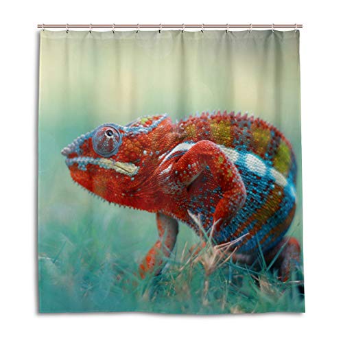 BKEOY Duschvorhang Reptil Tier Chamäleon Badevorhang Wasserdicht Schimmelfest waschbar Polyester Stoff Vorhang 167 x 182 cm mit 12 Vorhanghaken von BKEOY