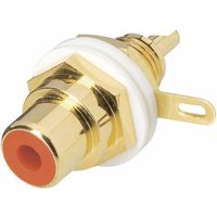 BKL Electronic 0101164-C Cinch-Steckverbinder Buchse, Einbau Polzahl (num): 2 Weiß 1St. von BKL Electronic