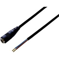 BKL Electronic 072068 Niedervolt-Anschlusskabel Niedervolt-Buchse - offene Kabelenden 5.5mm 2.5mm 2. BKL Electronic 072068 Niedervolt-Anschlusskabel Niedervolt-Buchse - offene Kabelenden 5.5mm 2.5mm 2. von BKL Electronic