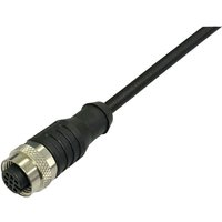 Bkl Electronic - 2702006 Sensor-/Aktor-Anschlussleitung M12 Kupplung, gerade 2 m Polzahl Sensoren: 4.5 Bkl Electronic - 2702006 Sensor-/Aktor-Anschlussleitung M12 Kupplung, gerade 2 m Polzahl Sensoren: 4.5 von BKL Electronic