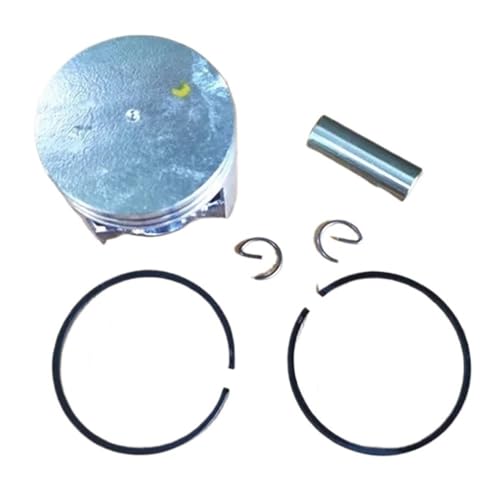 BKRZRN Ersatzteil Kolbensatz 43 mm passend for 488 47.9CC Kettensäge Zylinder Kolbenringe Pin Clip Assy Ersatz BKRZRN Ersatzteil Kolbensatz 43 mm passend for 488 47.9CC Kettensäge Zylinder Kolbenringe Pin Clip Assy Ersatz von BKRZRN