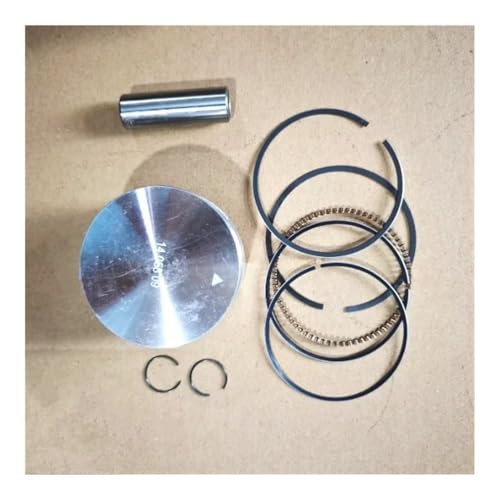 BKRZRN Ersatzteil Kolbensatz passend for CV224 Motorzylinderringstiftclip-Montage von BKRZRN