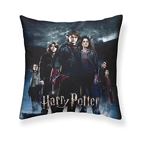 BELUM | Kissenbezug Harry Potter Größe: 65 x 65 cm - Stoff: Microsatin 100% recycelbares und recycelbares Polyester, Modell: Goblet of Fire A von BL BELUM