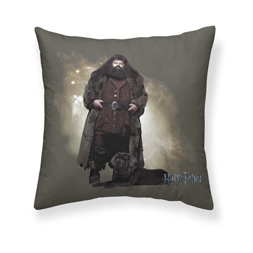 Belum Kissenbezug Harry Potter, Größe: 50 x 50 cm, Modell: Hagrid A, Stoff: Half Panama, 100% Baumwolle, 250 g. von BL BELUM
