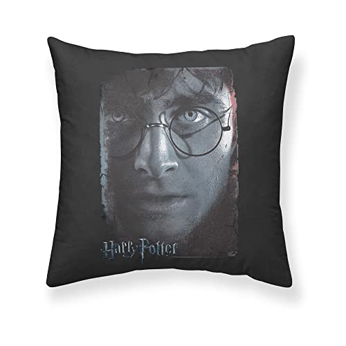 Belum Kissenbezug Harry Potter, Größe: 50 x 50 cm, Modell: Harry Potter Grey A, Stoff: Half Panama, 100% Baumwolle, 250 g. von BL BELUM