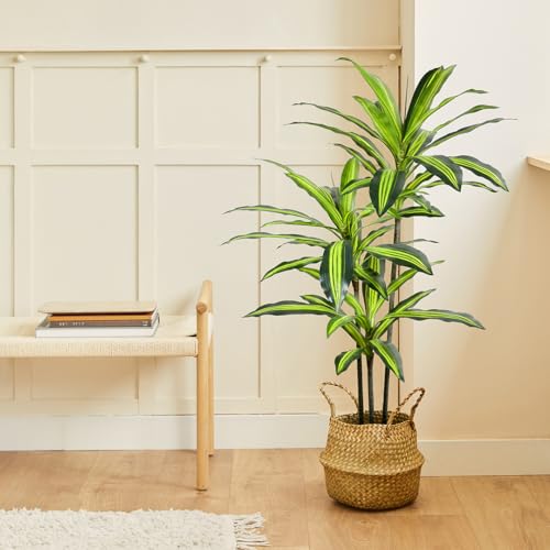 BLAINE | Drachenbaum Künstlich 120cm | Künstlicher Baum | Kunstbaum Groß | Baum Künstlich für Innen/Außen | Kunst Pflanzen als Dekoration Ohne Pflege | Künstlicher Baum Wohnzimmer BLAINE | Drachenbaum Künstlich 120cm | Künstlicher Baum | Kunstbaum Groß | Baum Künstlich für Innen/Außen | Kunst Pflanzen als Dekoration Ohne Pflege | Künstlicher Baum Wohnzimmer von BLAINE