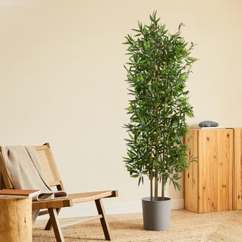 BLAINE | Japanischer Bambus 150cm | Künstlicher Baum | Kunstbaum Groß | Baum Künstlich für Innen/Außen | Kunst Pflanzen als Dekoration Ohne Pflege | Künstlicher Baum Wohnzimmer | Plastik Baum BLAINE | Japanischer Bambus 150cm | Künstlicher Baum | Kunstbaum Groß | Baum Künstlich für Innen/Außen | Kunst Pflanzen als Dekoration Ohne Pflege | Künstlicher Baum Wohnzimmer | Plastik Baum von BLAINE