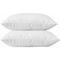 Blanràªve - 2er-Set milbendichte Kopfkissen 45 x 70 cm Phytopure - blanc von BLANRÀªVE