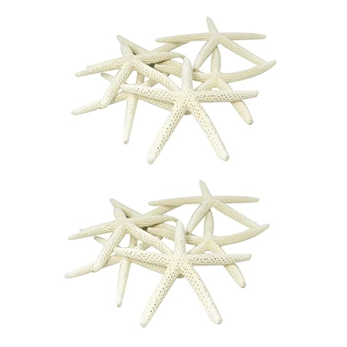 BLASHRD 24 Stücke Weißer Finger Seestern 5-10 cm Dekoration Zierfinger Seestern von BLASHRD