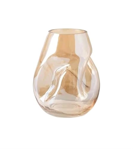 Glasvase for Blumen, transparente Glasvase, moderne Glasvase, transparent, moderne Wohnzimmervase, transparente dekorative Glasvase, kann mit Rosenknospen, Narzissen oder Pfingstrosen usw. gefüllt wer Glasvase for Blumen, transparente Glasvase, moderne Glasvase, transparent, moderne Wohnzimmervase, transparente dekorative Glasvase, kann mit Rosenknospen, Narzissen oder Pfingstrosen usw. gefüllt wer von BLBTEDUAMDE