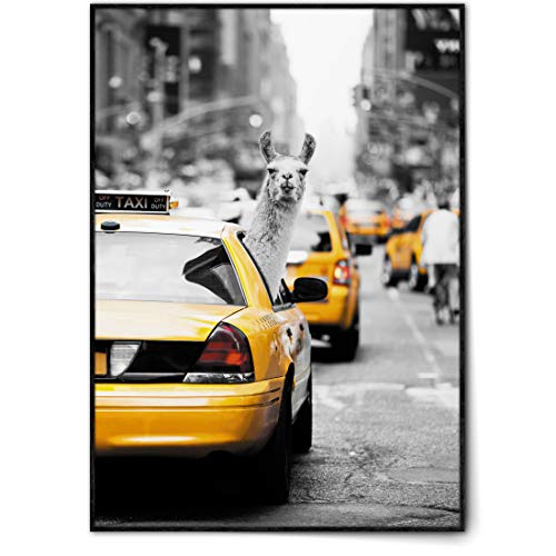 BLCKART Crazy Lama in a NY Taxi Poster Set Stilvolle Poster Wohnzimmer Bilder Lama im Taxi ohne Rahmen (A2 | 42 x 59,4 cm | Ohne Rahmen, CRAZY LAMA IN NEW YORK) von BLCKART