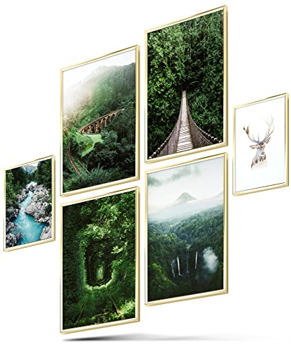BLCKART Green Forest Bilder Set Stilvolle Beidseitige Pampasgras Bilderwand Natur Landschaft Wohnzimmer Deko Poster Wald (L | 4X A3 | 2X A4 | ohne Rahmen, Green Forest) von BLCKART