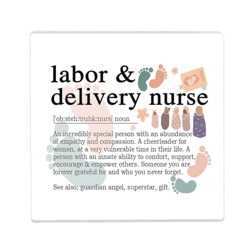 Labor And Delivery Krankenschwester Acryl Büro Schreibtisch Dekor Schild Wertschätzung Geschenk für L & D Krankenschwester Woche Geschenk Krankenpflege Abschlussfeier Zuhause Zimmer Schreibtisch von BLEOUK
