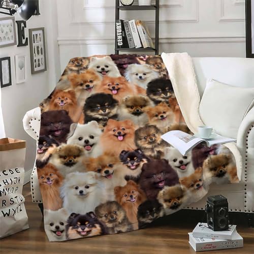 Kuscheldecke 130x150 Pommern Decke, Tier Kuscheldecke Flauschig Flanell Warm Fleecedecke, Sofadecke Flauschig Fleecedecke Weiche Sofa üBerwurfdecke, Winterdecke Kinder Blanket Fuer Sofa Couch von BLHL