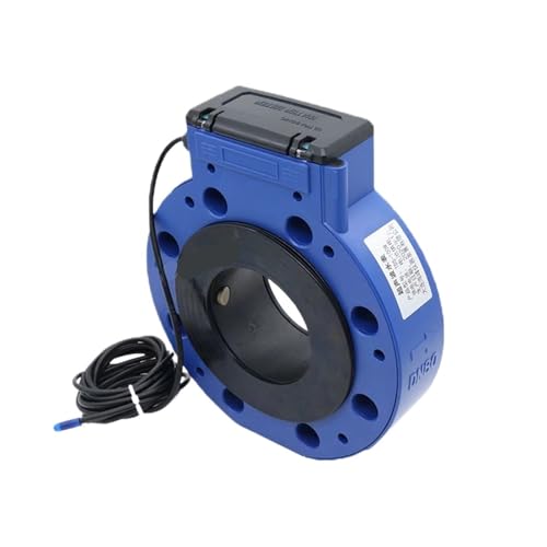 BLLUYJXZ Wasserzähler Wasserdurchflussmesser for landwirtschaftliche Bewässerung Industrielle Wassermessung DN50 DN65 DN80 DN100 RS-485(DN80) von BLLUYJXZ