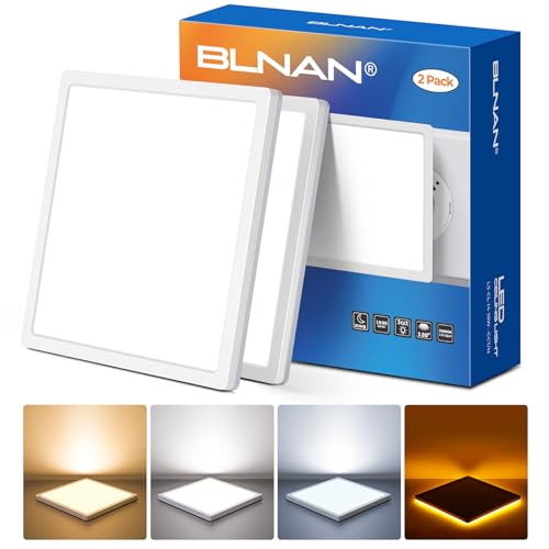 BLNAN 2Stücke LED Deckenleuchte Flach, 18W Deckenlampe mit Nachtlicht 2000K, 1800lm Warm Neutral Kalt Weiß Deckenleuchte Flach Panel für Schlafzimmer Küche Balkon Flur, 22x2.5cm von BLNAN