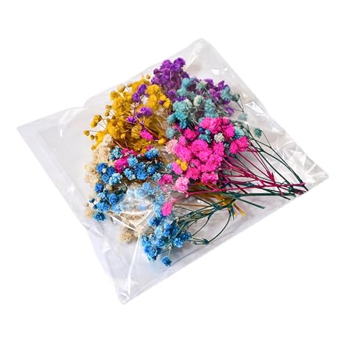 Konservierter Babyatem und Hortensien, Kunstharz, Blumenstrauß, ewige Blumen, Dekoration für Zuhause, Hochzeit Konservierter Babyatem und Hortensien, Kunstharz, Blumenstrauß, ewige Blumen, Dekoration für Zuhause, Hochzeit von BLNGET