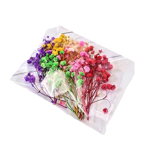 Konservierter Babyatem und Hortensien, Kunstharz, Blumenstrauß, ewige Blumen, Dekoration für Zuhause, Hochzeit von BLNGET