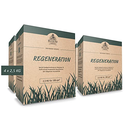 Regenerations-Rasen Bloom & Green I RSM 3.2 Rasensamen für Rasen-Regeneration I Gras-Samen für Erneuerung & Rasenpflege I Rasensaat für die Rasenreparatur I 4x2,5 kg (10kg) für 400m² von BLOOM & GREEN BEAUTIFUL GARDENS