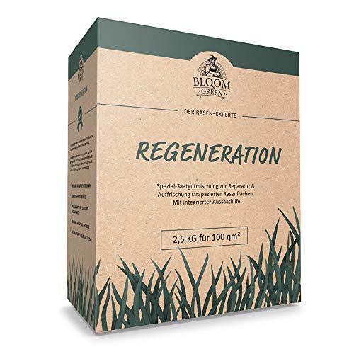 Regenerations-Rasen Bloom & Green I RSM 3.2 Rasensamen für Rasen-Regeneration I Gras-Samen für Erneuerung & Rasenpflege I Rasensaat für die Rasenreparatur I Schnellwachsende Nachsaat 2,5 kg für 100m² von BLOOM & GREEN BEAUTIFUL GARDENS