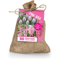 Bloomique – 50er-Mix – Die rosa Tüte – Rosa Mix – Tulpen, Hyazinthen, Allium – Blumenzwiebeln – Frühlingsblüher – Mehrjährige Pflanzen von BLOOMIQUE