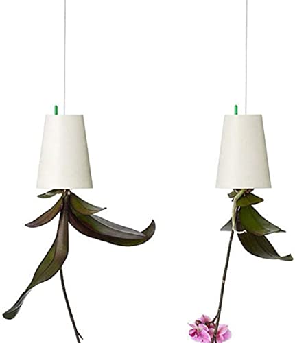 BLOSSOMLIFE 2 umgedrehte Übertöpfe zum Aufhängen, für Balkon, Garten, Haus, Innen- und Außendekoration von BLOSSOMLIFE
