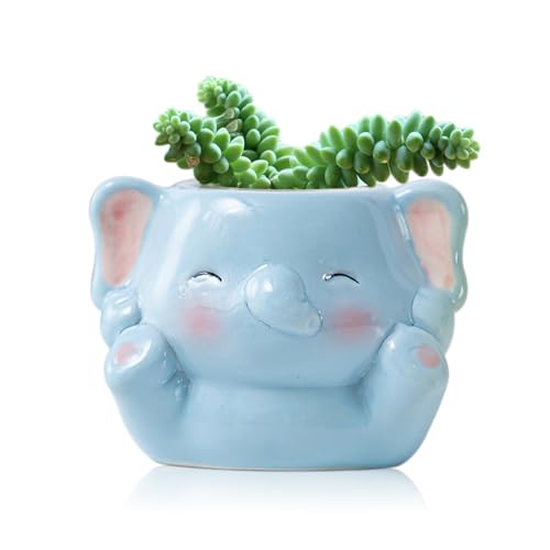 BLOSSOMLIFE Niedlicher Tier-Pflanzgefäß, Mini-Keramik-Carto-Tier-Form, Sukkulenten-Blumentopf für den Innenbereich, Mini-Blumenvase, lustige Tierdekoration (Baby-Elefant) von BLOSSOMLIFE