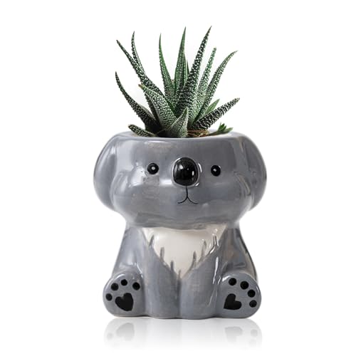 BLOSSOMLIFE Niedlicher Tier-Pflanzgefäß, Mini-Keramik-Carto-Tier-Form, Sukkulenten-Blumentopf für den Innenbereich, Mini-Blumenvase, lustige Tierdekoration (Koala) von BLOSSOMLIFE