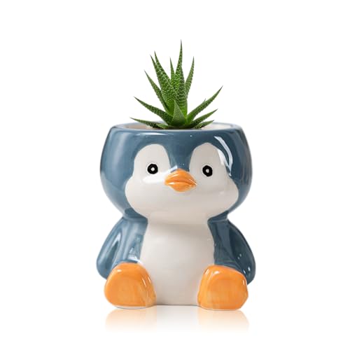 BLOSSOMLIFE Niedlicher Tier-Pflanzgefäß, Mini-Keramik-Carto-Tier-geformter Sukkulenten-Blumentopf für den Innenbereich, Mini-Blumenvase, lustige Tierdekoration (Pinguin) von BLOSSOMLIFE