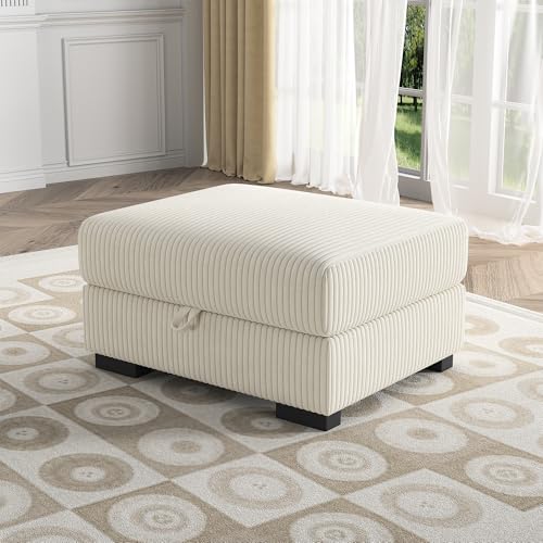 BLSYHDH Kleiner Fußhocker zur Aufbewahrung, Hocker für Wohnzimmer, mit Stauraum, Fußstütze aus Velours, Seide, Sitzsack, Aufbewahrung, Sitzbank, Würfel, geeignet für Wohnzimmer oder Schlafzimmer von BLSYHDH