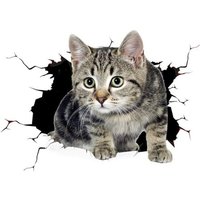 Ccykxa (C)3D Katze Abnehmbarer Autoaufkleber Autodekoration Aufkleber Autofenster Animation Spaß Dekoration Kätzchen Aufkleber Autoform Aufkleber von BLUE DREAM