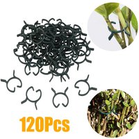 Bluedeer - 120 pcs Anlage Clip Garten Clips Klettern Pflanzen Unterstützung Kunststoff Frühling Peg Schellen Lst Clips Tomatenhaken Pflanzenclips Für Bluedeer - 120 pcs Anlage Clip Garten Clips Klettern Pflanzen Unterstützung Kunststoff Frühling Peg Schellen Lst Clips Tomatenhaken Pflanzenclips Für von BLUEDEER