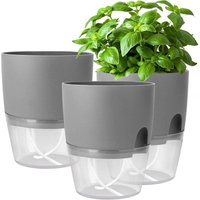 Kräutertopf Küche Set Fensterbank selbstbewässernd-3er Set Kräutergarten für die Küche,18.2X 11x 15.3 cm, für frische Küchenkräuter, Grau Kräutertopf Küche Set Fensterbank selbstbewässernd-3er Set Kräutergarten für die Küche,18.2X 11x 15.3 cm, für frische Küchenkräuter, Grau von BLUEDEER
